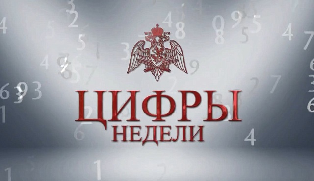 Итоги служебно - боевой деятельности за неделю подвели в подразделениях Главного управления Росгвардии по городу Москве
