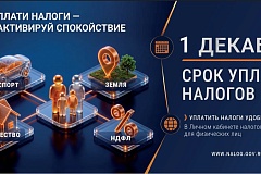 Что делать, если налоговое уведомление не получено