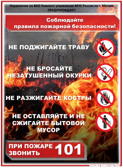 Рисунок3.jpg