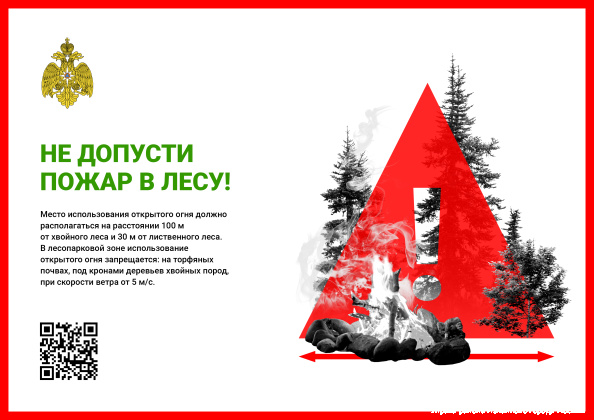 2_Лес