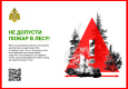 2_Лес