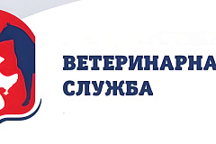 СИБИРСКАЯ ЯЗВА ЖИВОТНЫХ